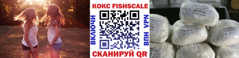 Cocaine FishScale  Купить где  Боровск 