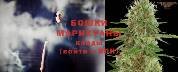 apvp Козельск