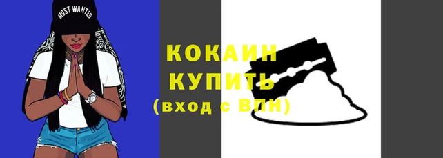 spice Козловка