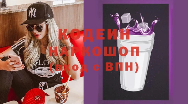 apvp Козельск
