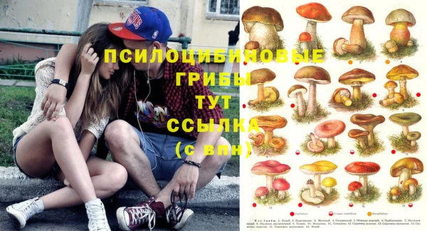каннабис Костерёво